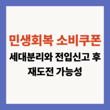 민생회복 소비쿠폰
