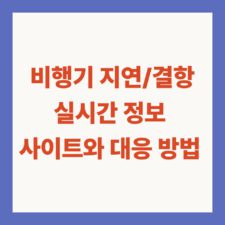 비행기 결항 실시간 정보