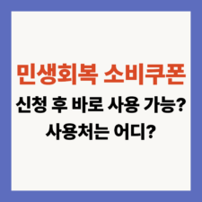 민생회복 소비쿠폰