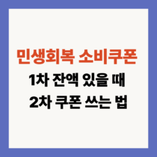 민생회복 소비쿠폰
