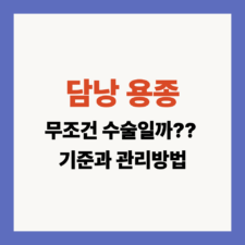 담낭 용종