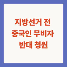 중국인 무비자